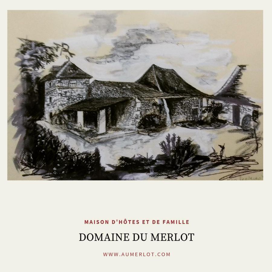 Domaine Du Merlot Sainte-Sabine-Born Exterior foto